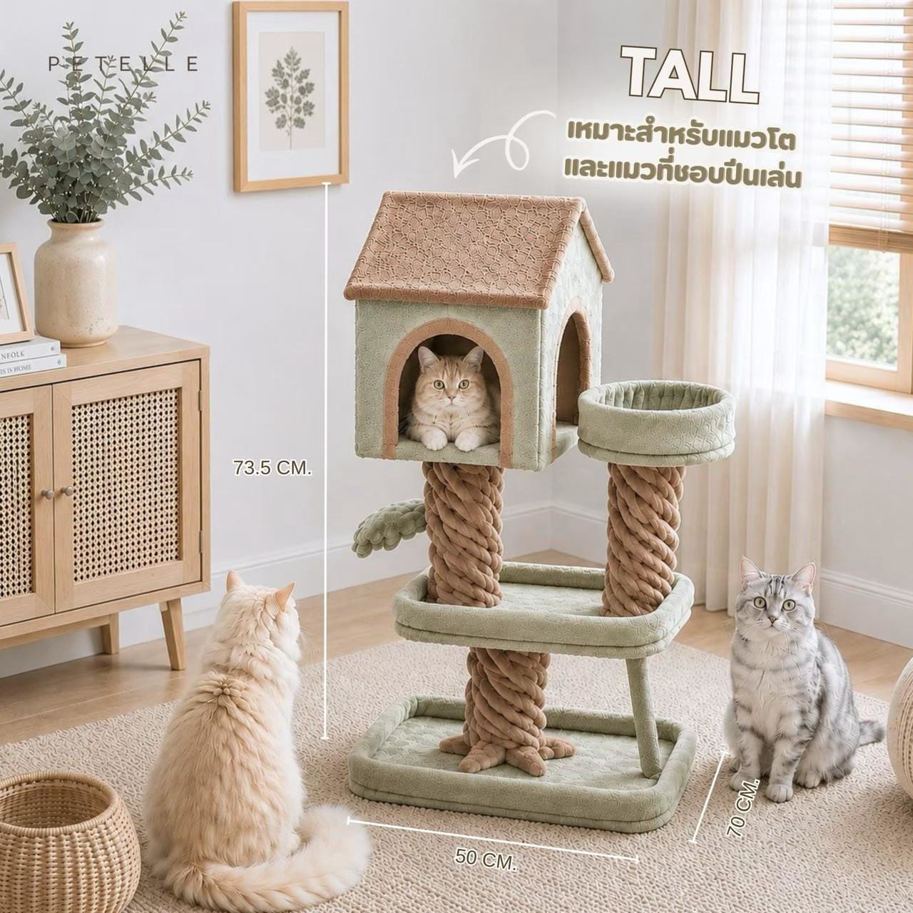 ชุดอุปกรณ์สำหรับแมว PETELLE 5 ชิ้น รุ่น CAT FUN SET_1